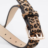 Sunseeker Belt