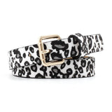 Sunseeker Belt