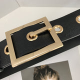Amb Belt