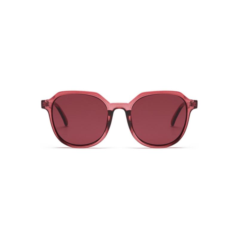 Honey Bee Sunglasses